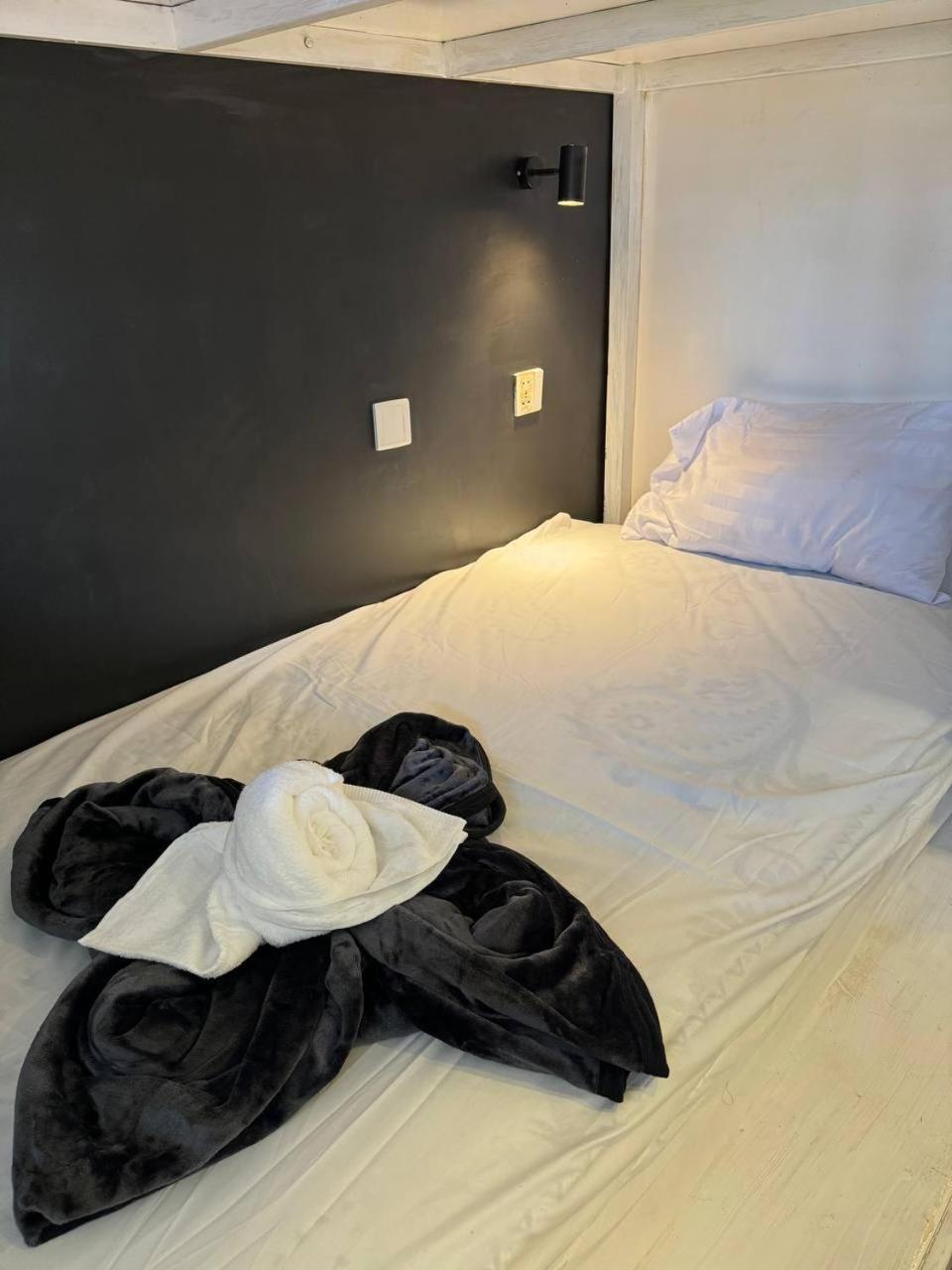 The Hive Hotel 시엠리아프 외부 사진